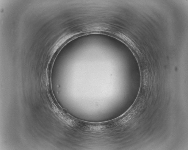 X0000060801031200511141434