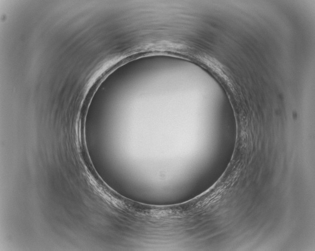 X0000060801032200511141434