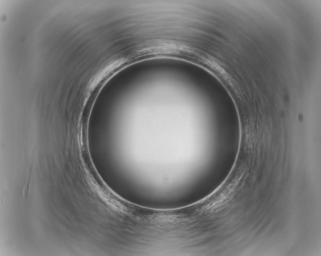 X0000060801034200511141434