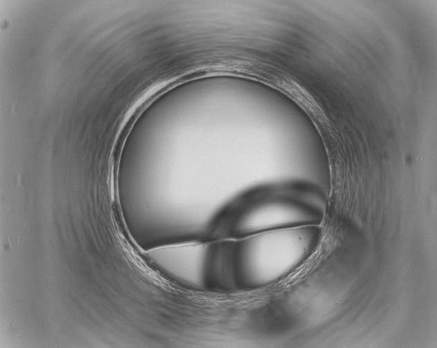 X0000060801036200511141434