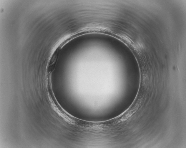 X0000060801038200511141434