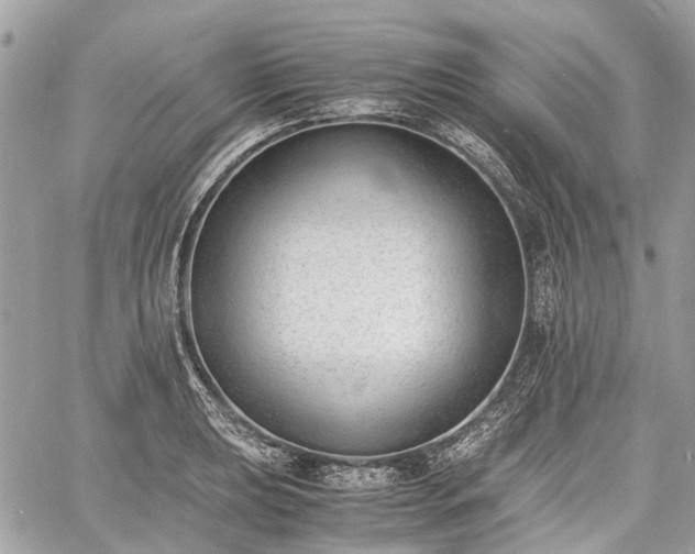 X0000060801039200511141434