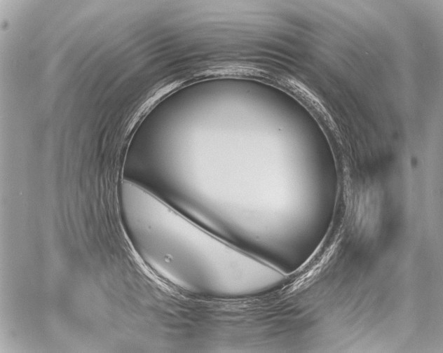 X0000060801041200511141435