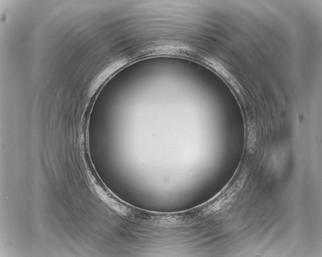 X0000060801042200511141435