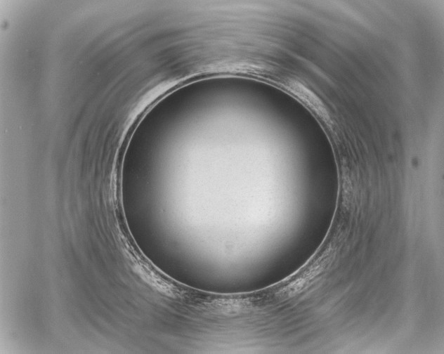 X0000060801044200511141435