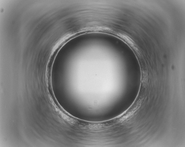 X0000060801046200511141435