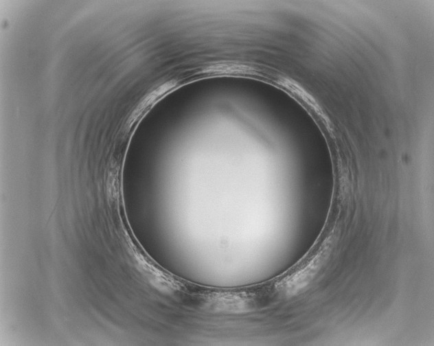 X0000060801049200511141435