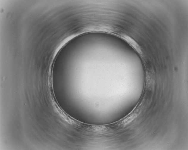 X0000060801052200511141435