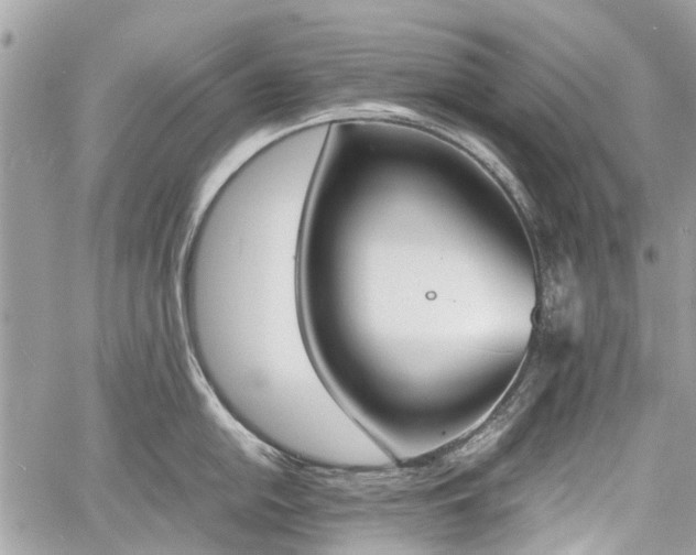 X0000060801054200511141435