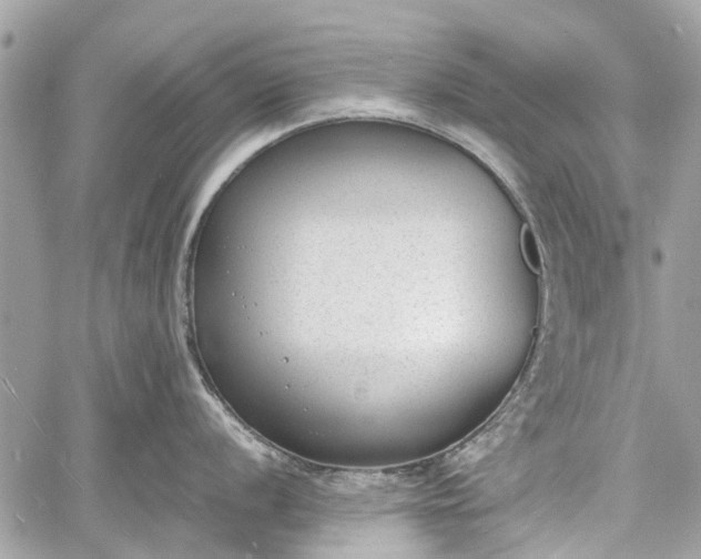 X0000060801056200511141435