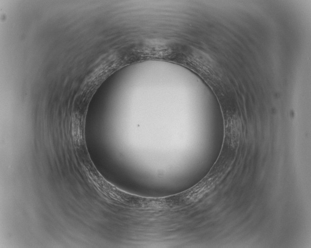 X0000060801058200511141434