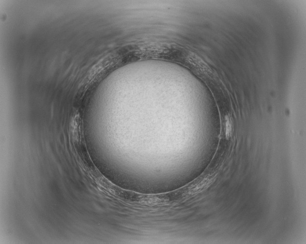 X0000060801059200511141434