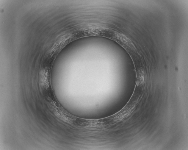 X0000060801060200511141434