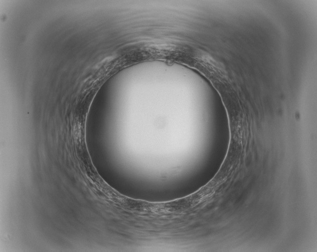 X0000060801061200511141434