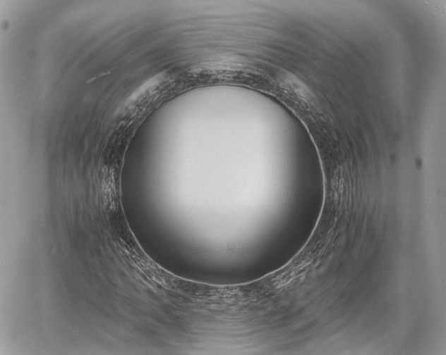 X0000060801062200511141434