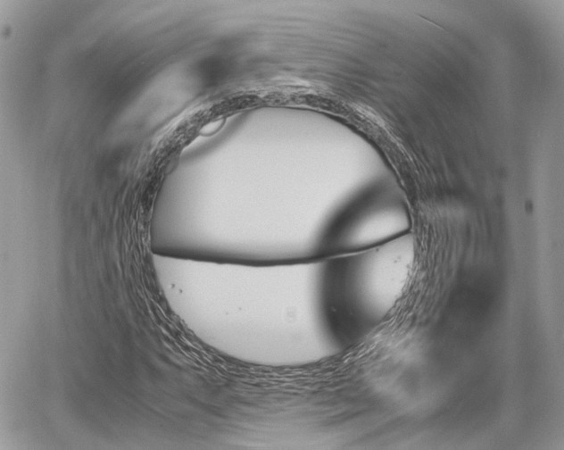 X0000060801063200511141434