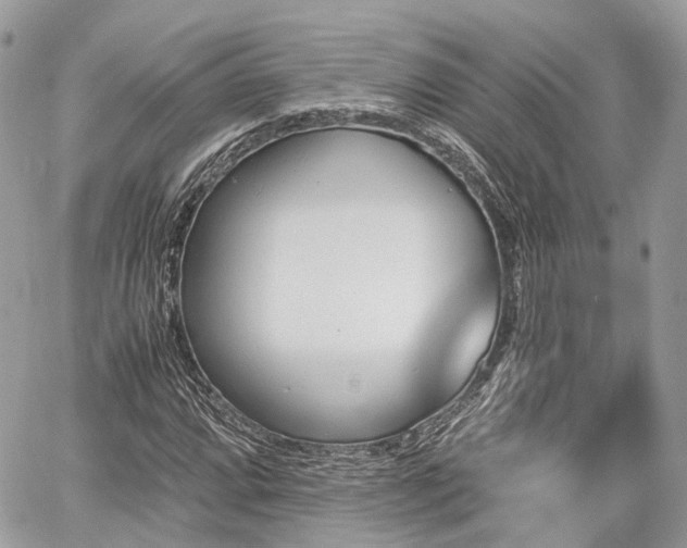 X0000060801064200511141434