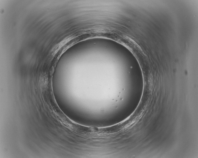 X0000060801065200511141434