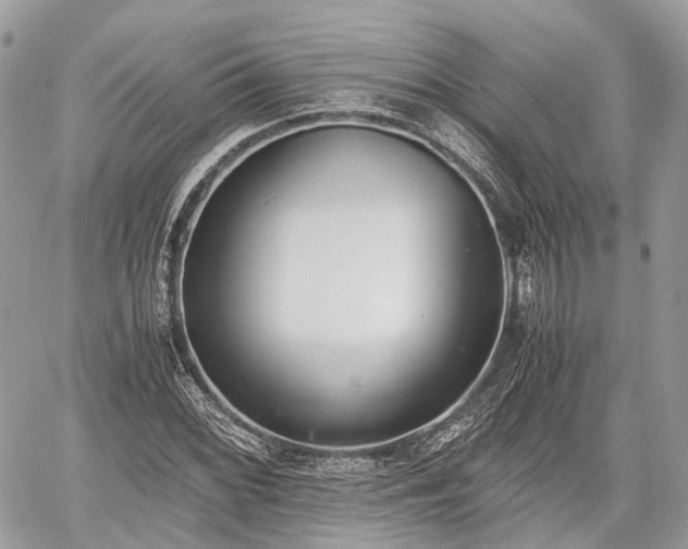 X0000060801068200511141434