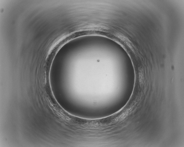 X0000060801069200511141434