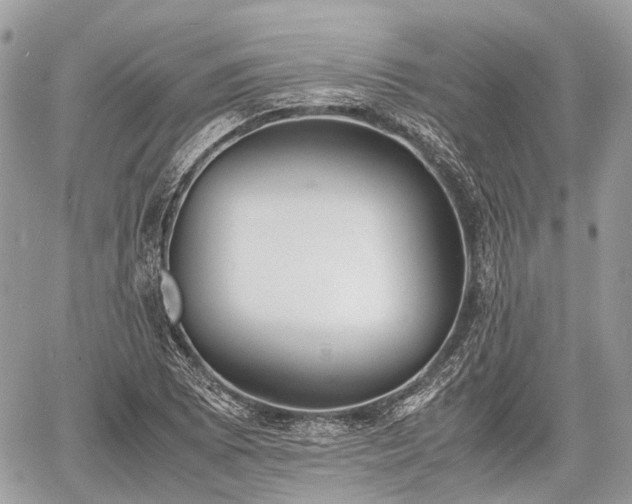 X0000060801073200511141434