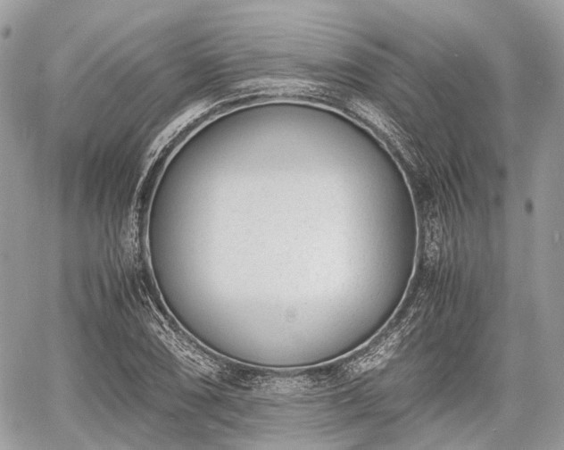 X0000060801074200511141434