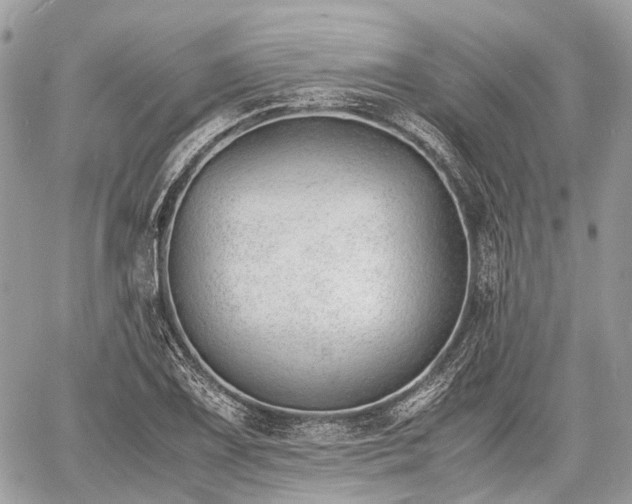 X0000060801075200511141434