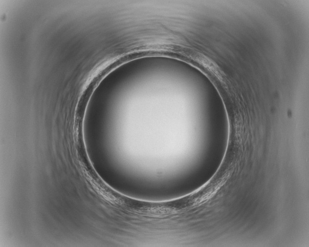 X0000060801077200511141434