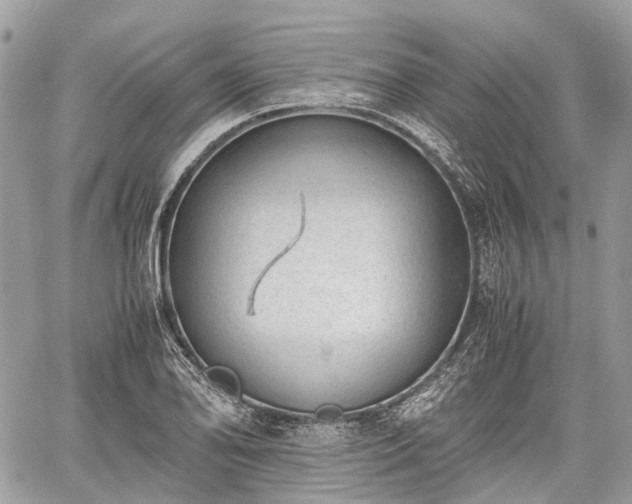 X0000060801078200511141434