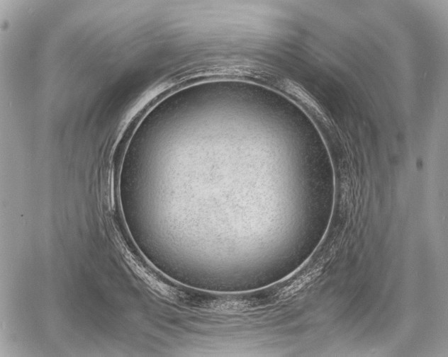 X0000060801079200511141434