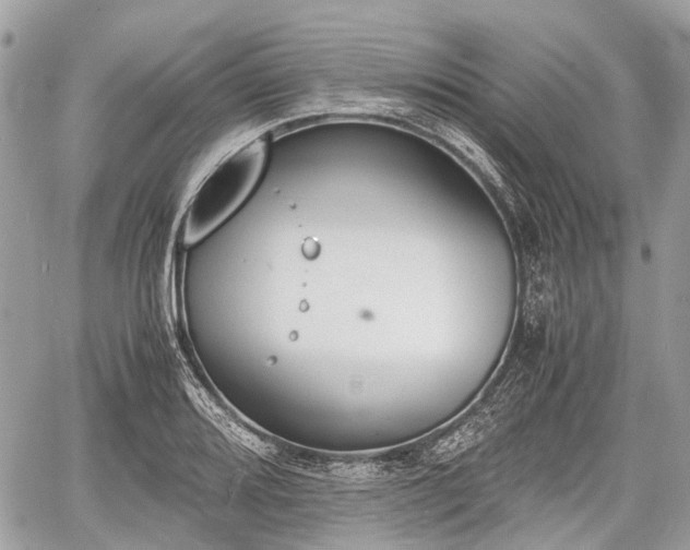 X0000060801080200511141433