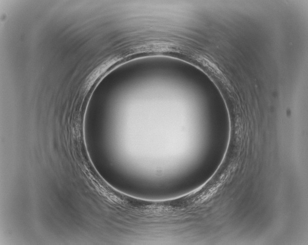 X0000060801081200511141433