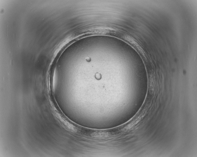 X0000060801083200511141433