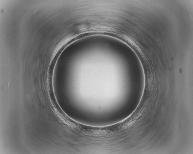 X0000060801085200511141433