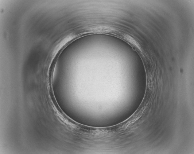 X0000060801087200511141433