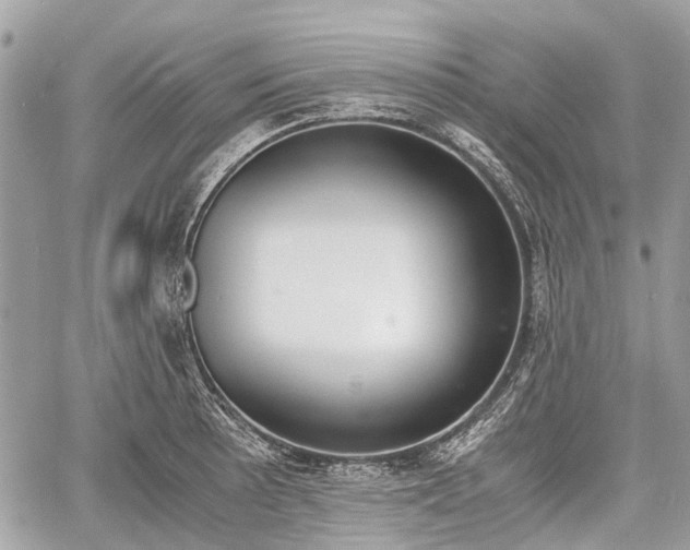 X0000060801089200511141433