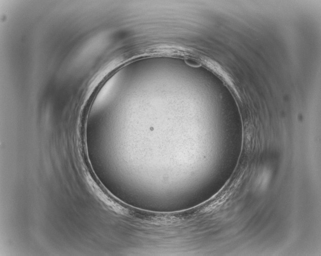 X0000060801091200511141433