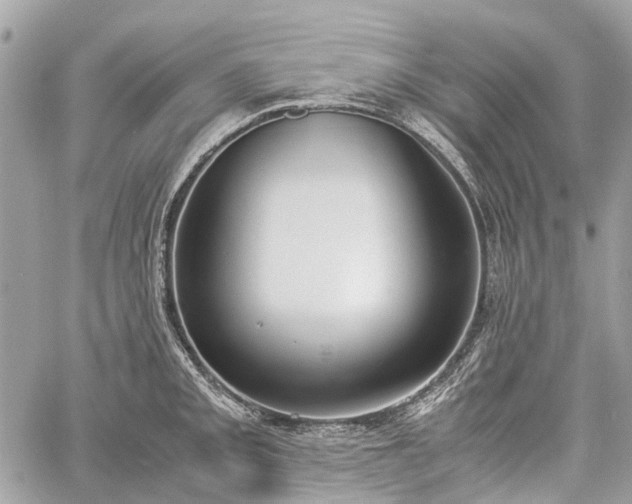 X0000060801093200511141433