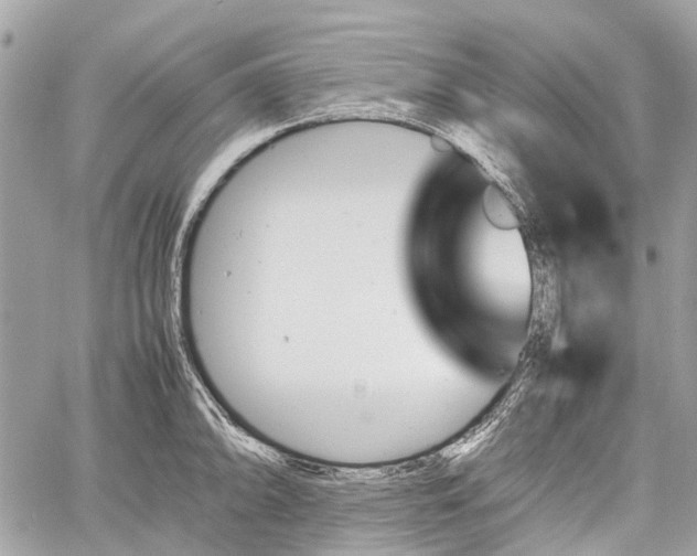 X0000060801094200511141433