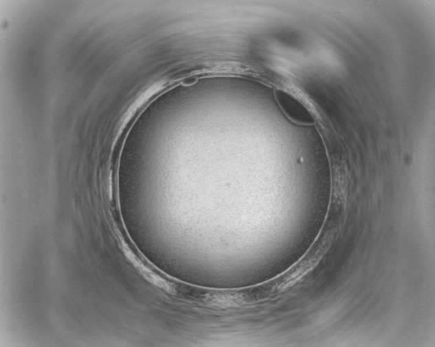 X0000060801095200511141433