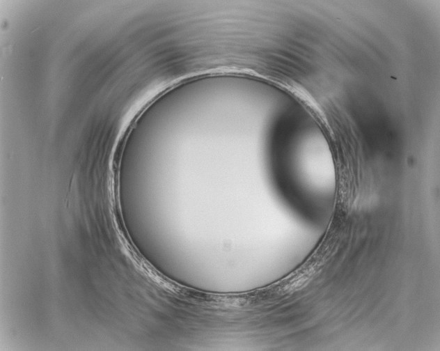 X0000060801096200511141433