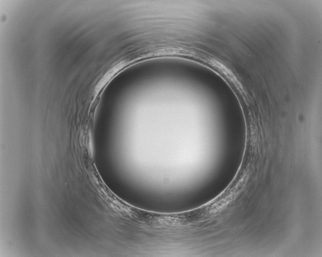 X0000060801097200511141433