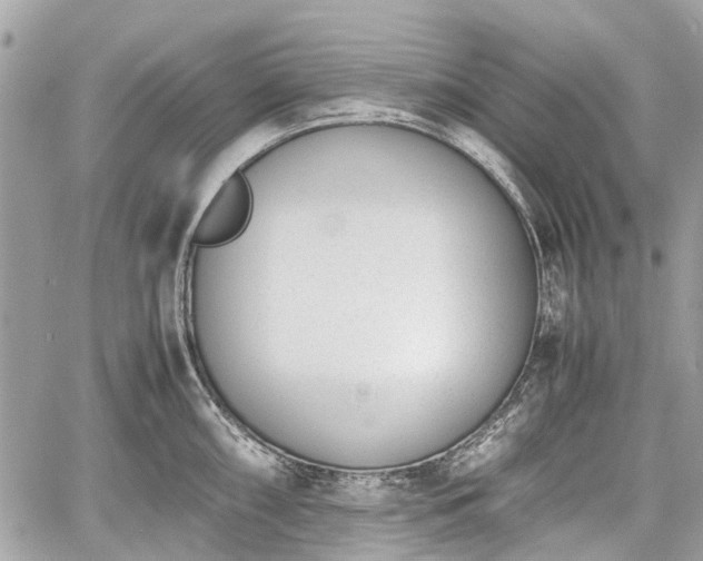 X0000060801098200511141433