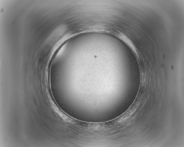 X0000060801099200511141433