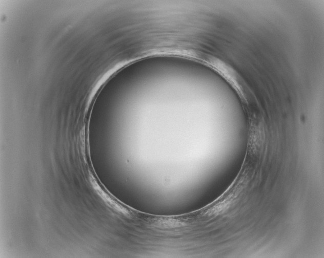 X0000060801100200511141433