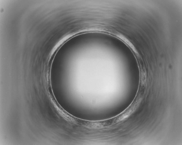 X0000060801101200511141433