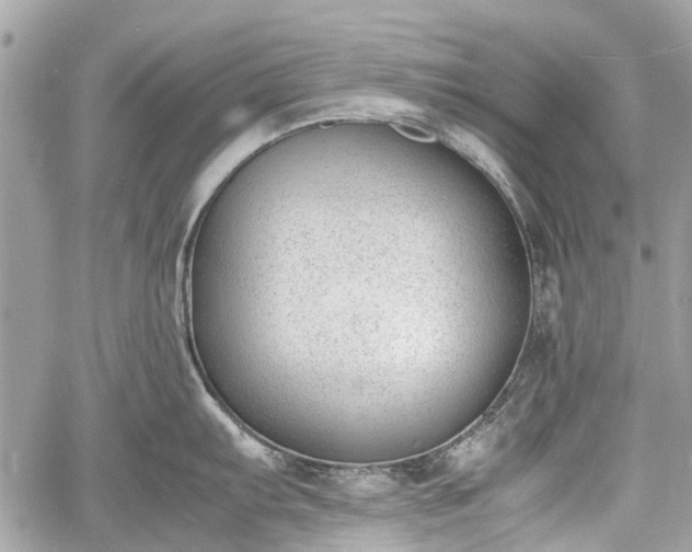 X0000060801103200511141433