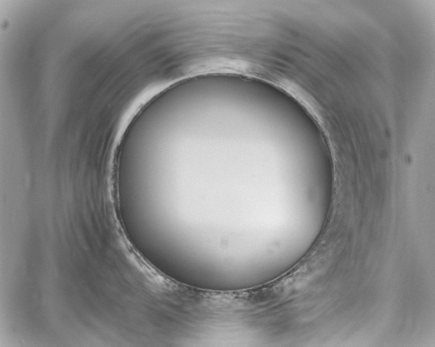 X0000060801104200511141433