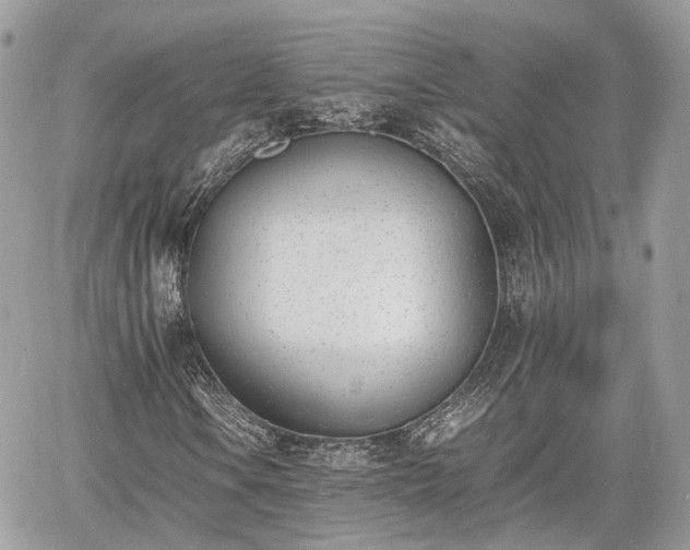 X0000060801106200511141432