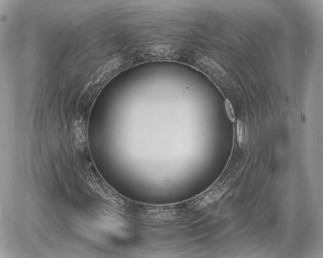 X0000060801107200511141432